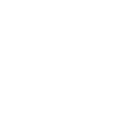 ce logo Swansea